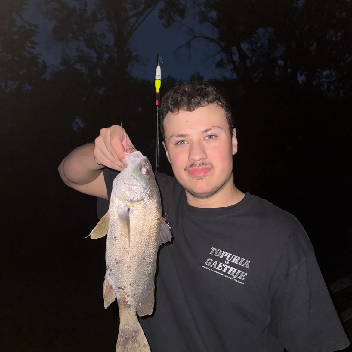 Freshwater drum caught on Fishbrain