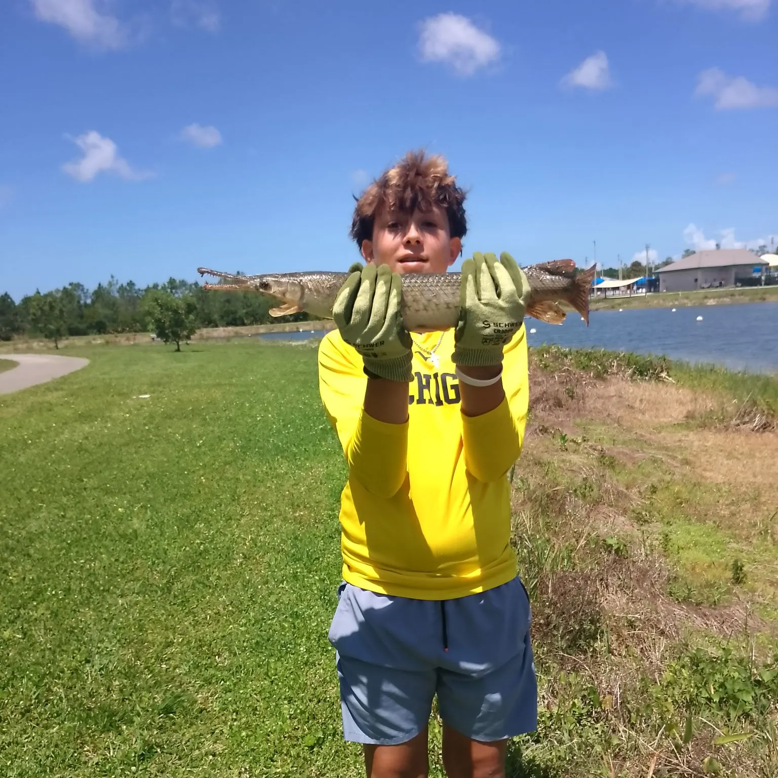 The most recent Alligator gar catches on Fishbrain