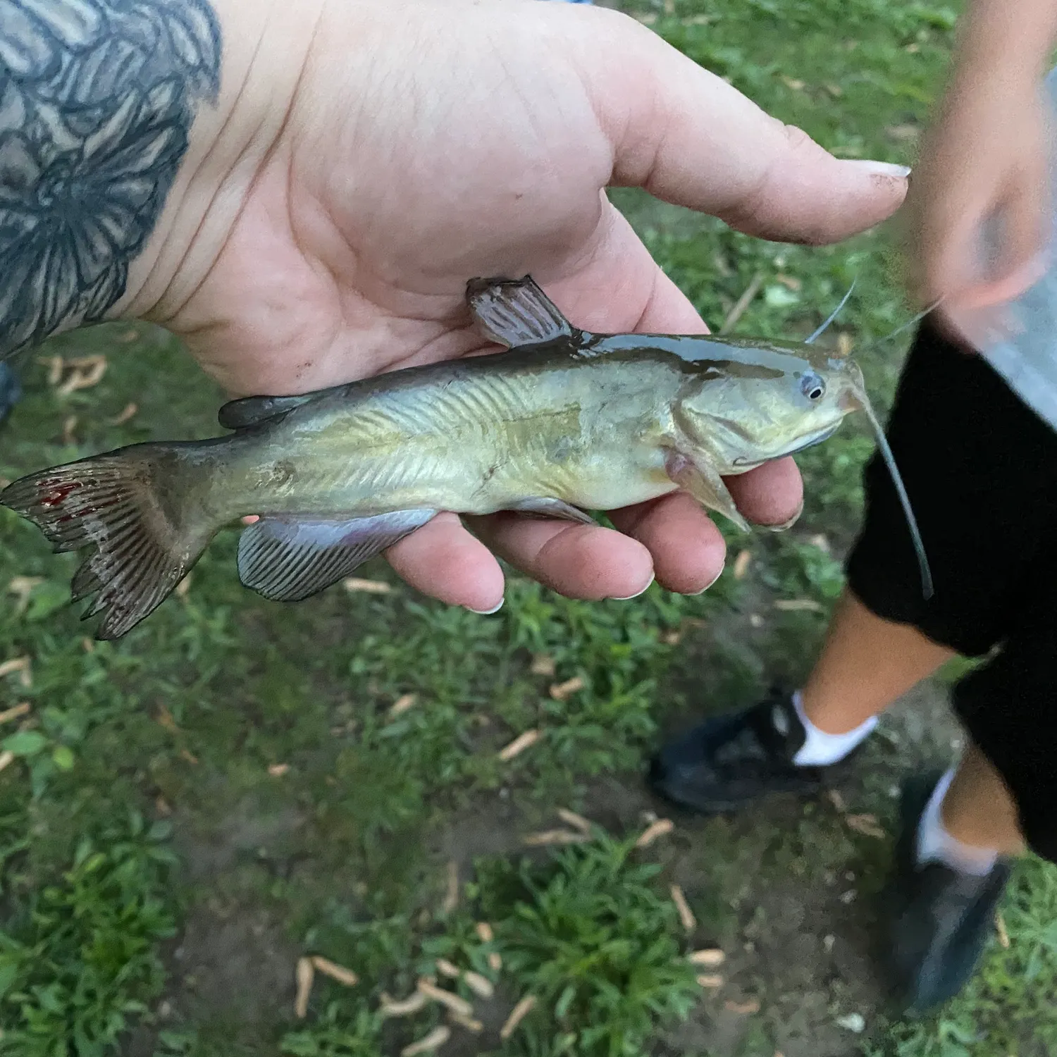 catch