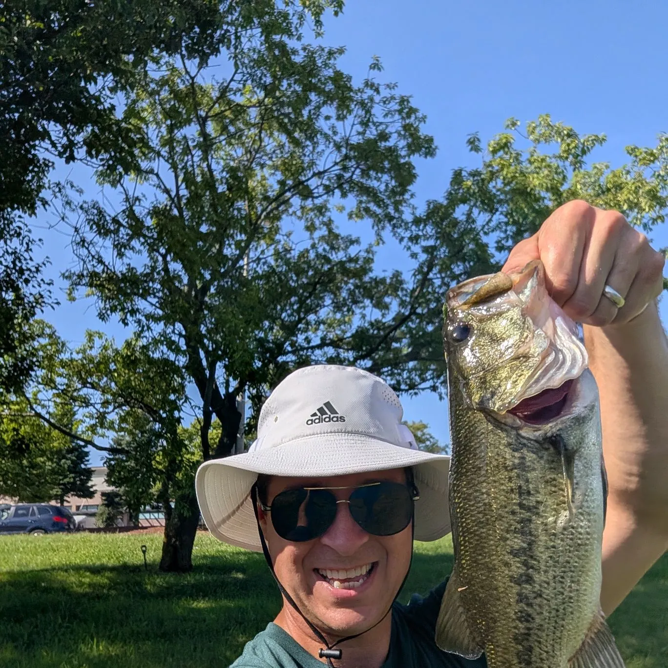 Largemouth bass caught on Fishbrain