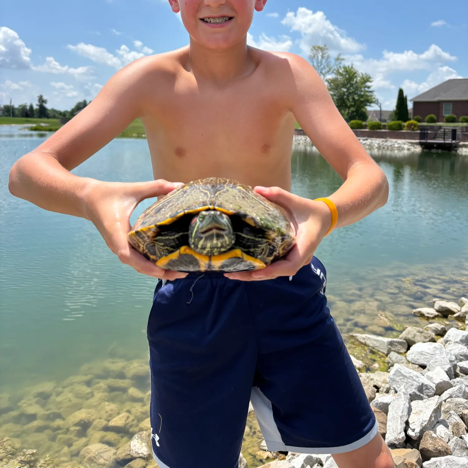 The most recent Painted turtle catches on Fishbrain