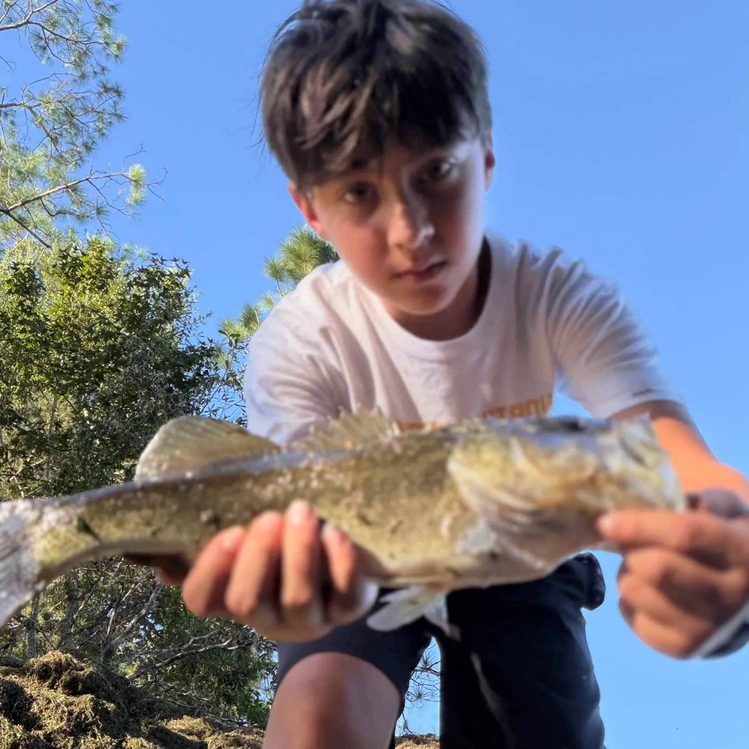 Fish caught on Fishbrain
