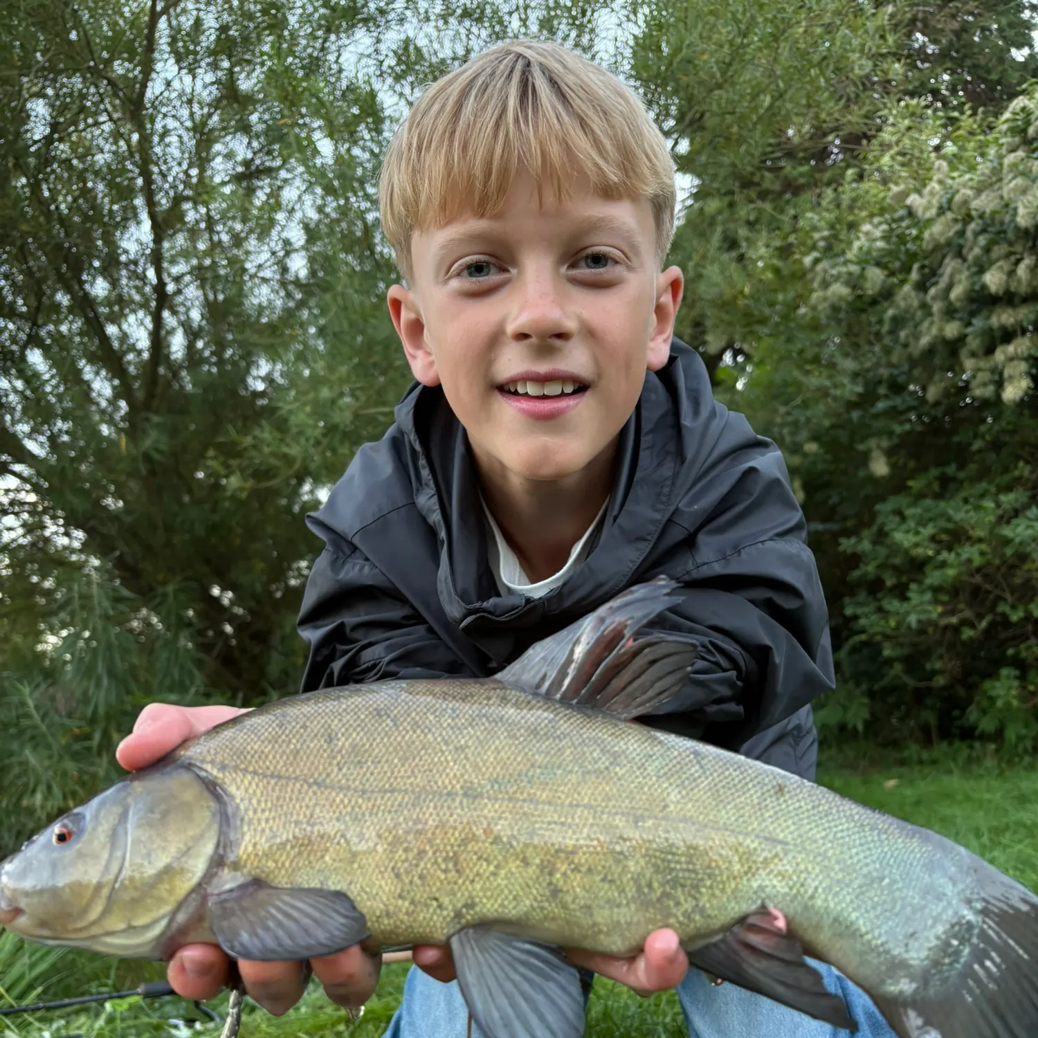 Tench caught on Fishbrain