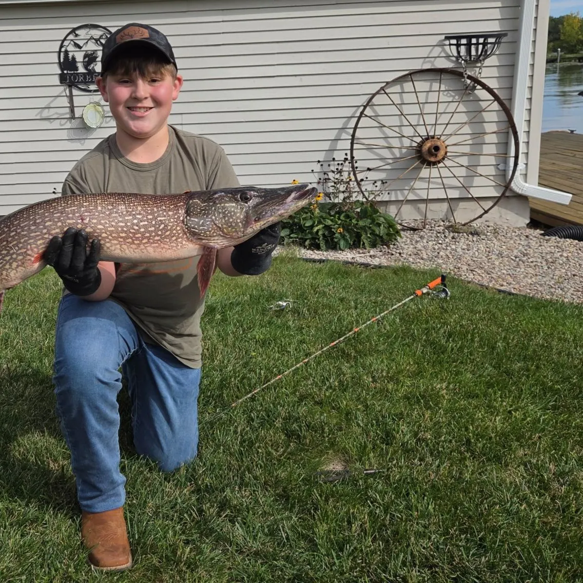 Northern pike caught on Fishbrain