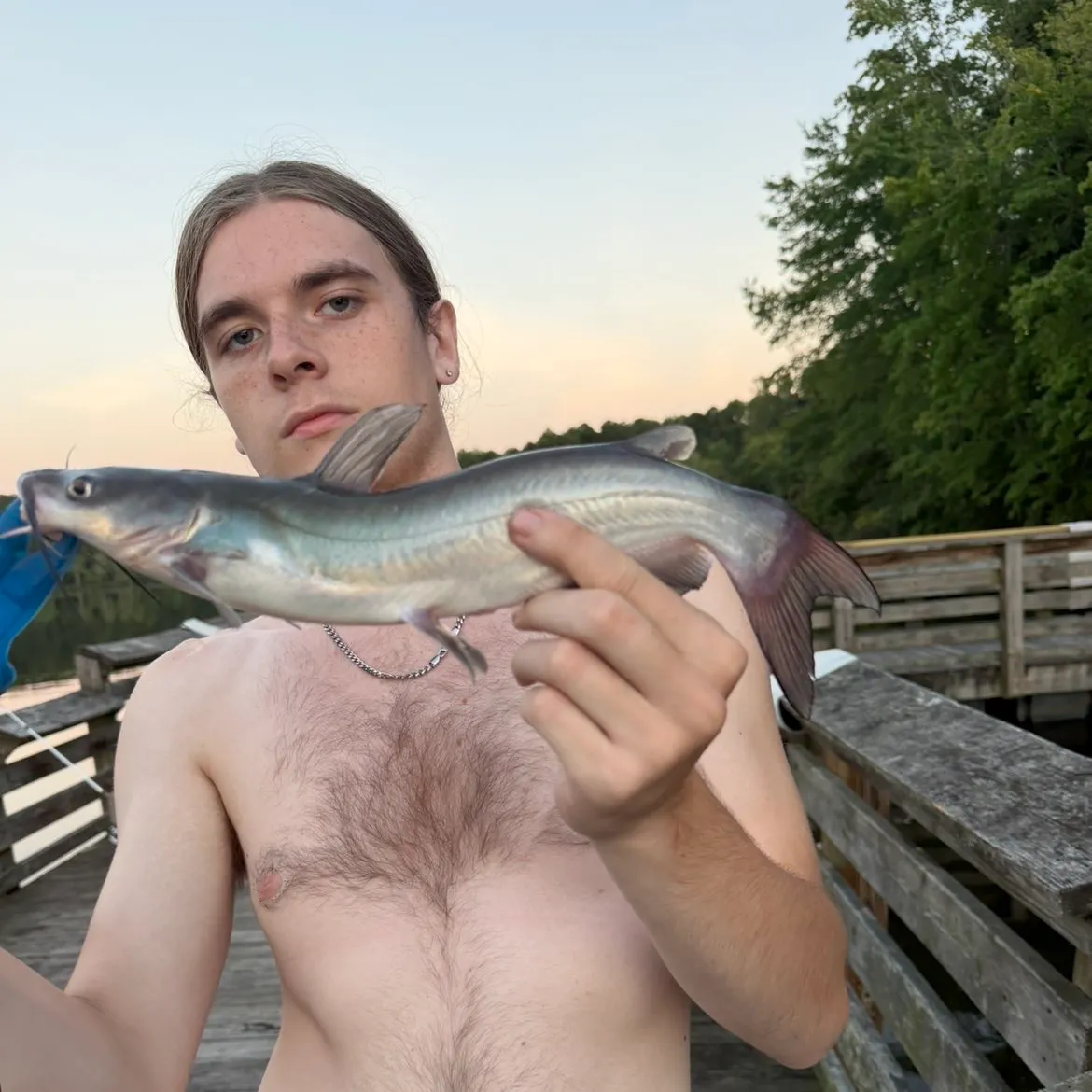 Channel catfish caught on Fishbrain