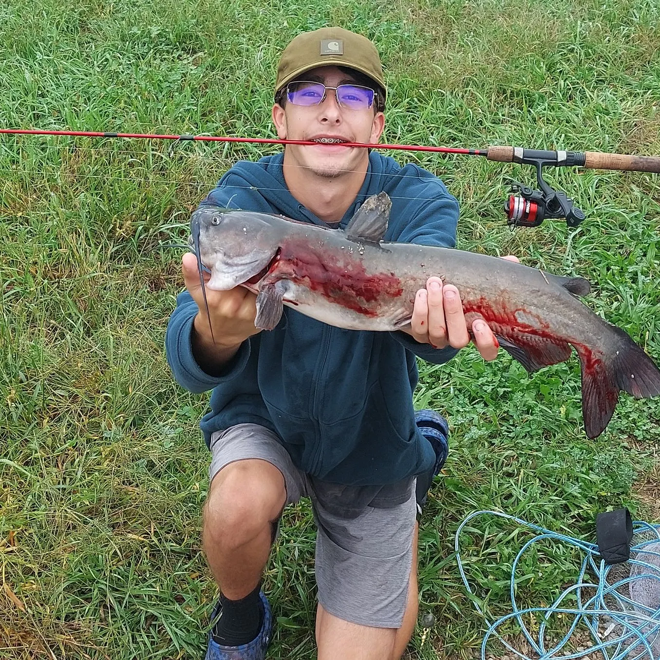 Channel catfish caught on Fishbrain