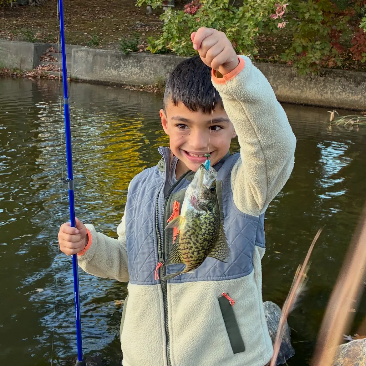 Brook trout caught on Fishbrain