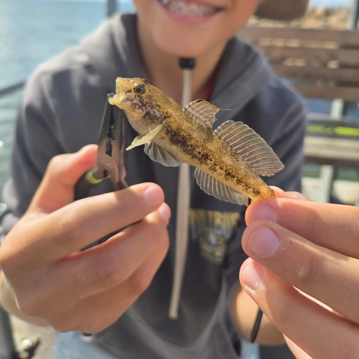 Round goby caught on Fishbrain