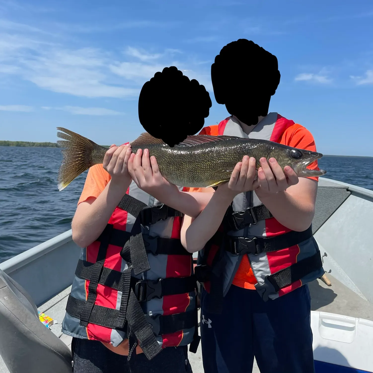 The most recent Walleye catches on Fishbrain