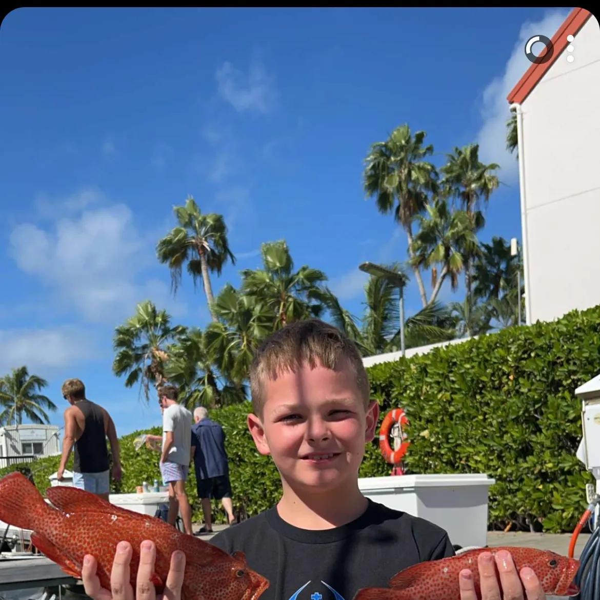 The most recent Northern red snapper catches on Fishbrain