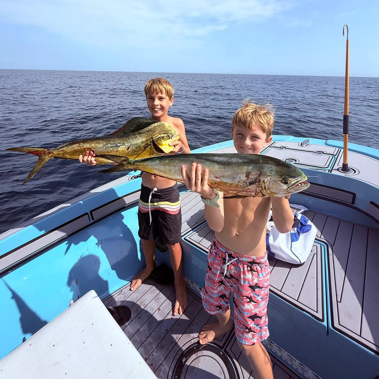 The most recent Common dolphinfish catches on Fishbrain