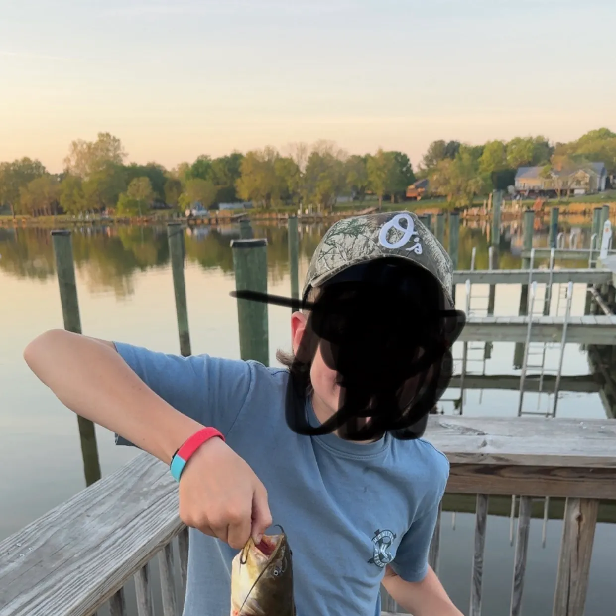 Yellow bullhead caught on Fishbrain