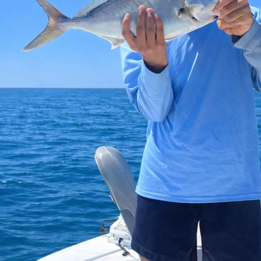 The most recent Lesser amberjack catches on Fishbrain