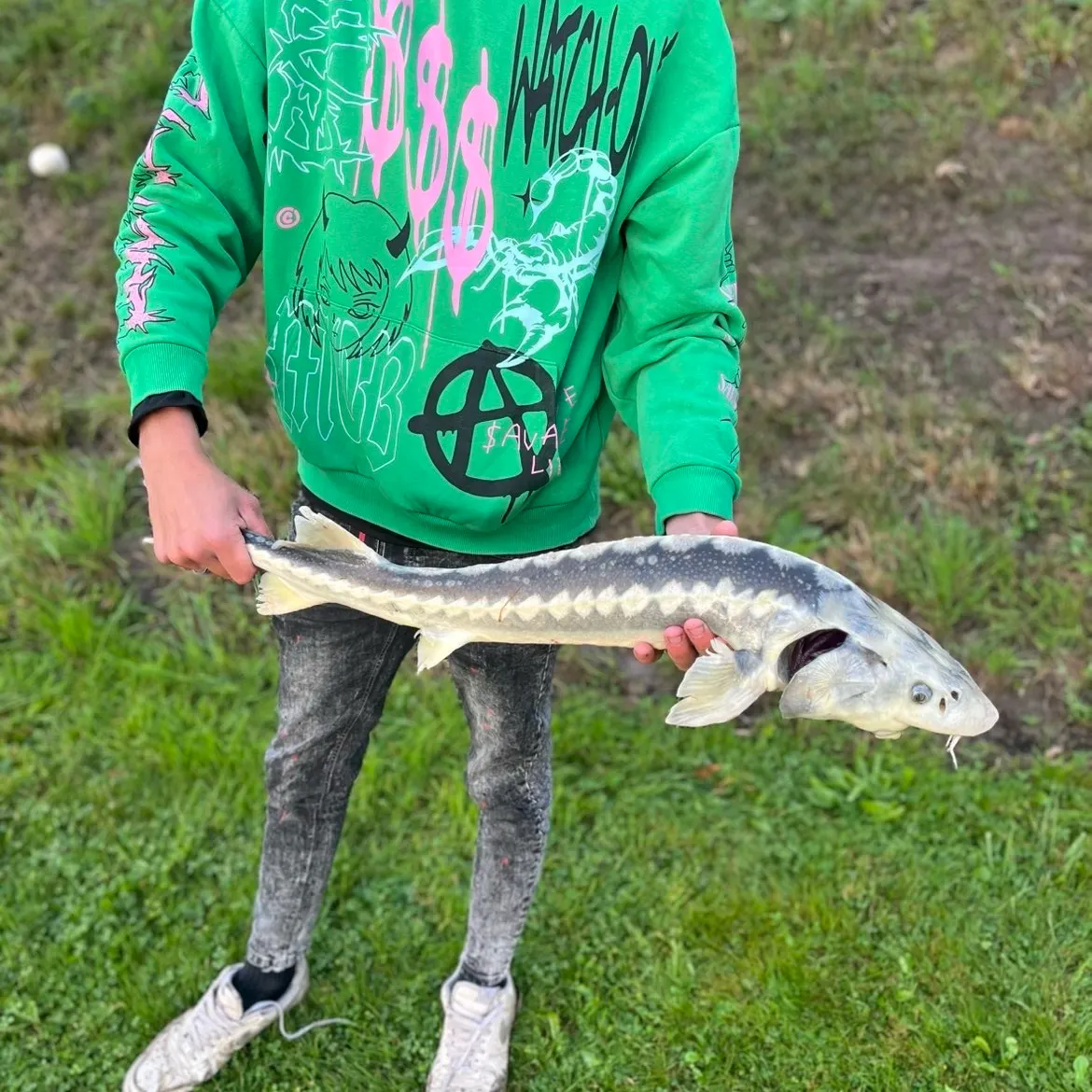 Russian sturgeon caught on Fishbrain