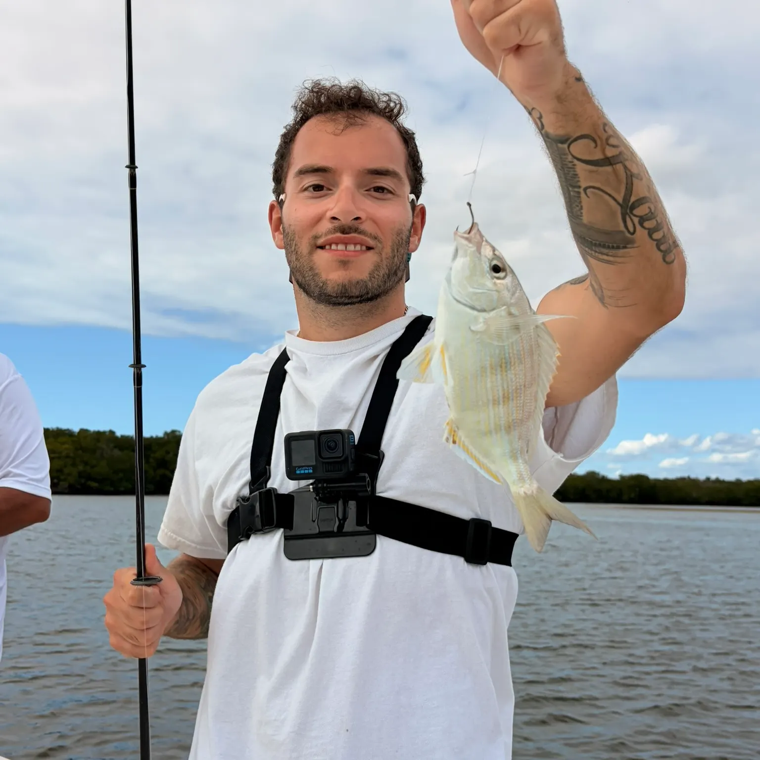 The most recent Pinfish catches on Fishbrain