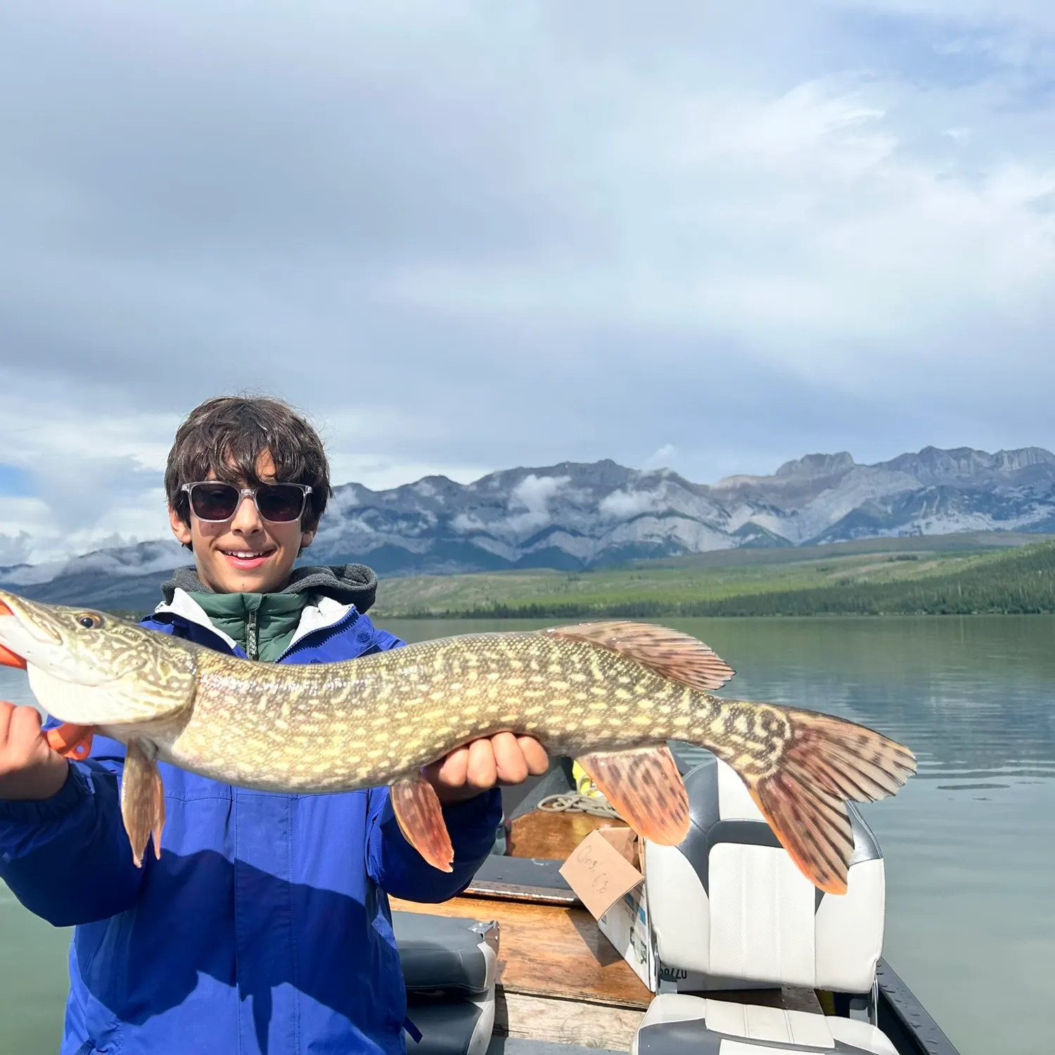 Northern pike caught on Fishbrain