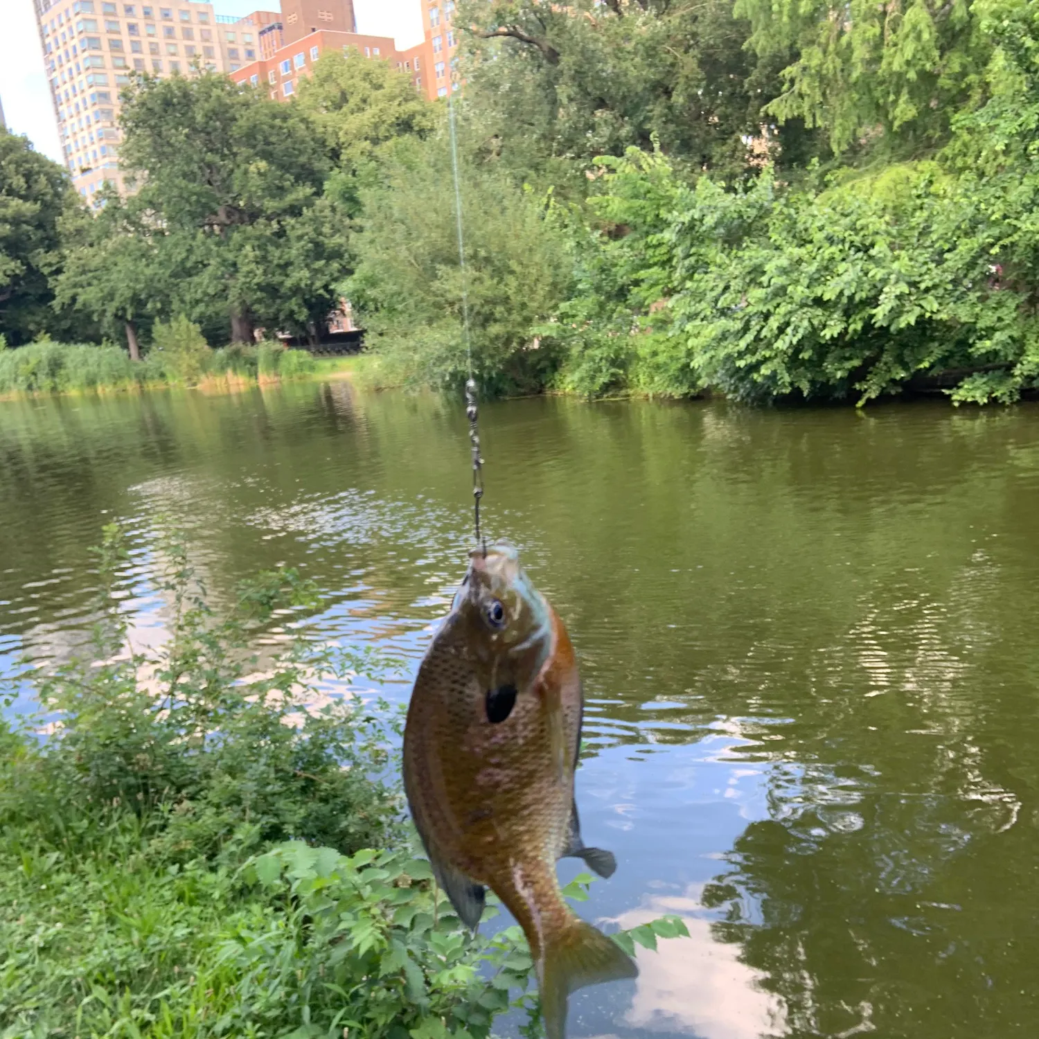 catch
