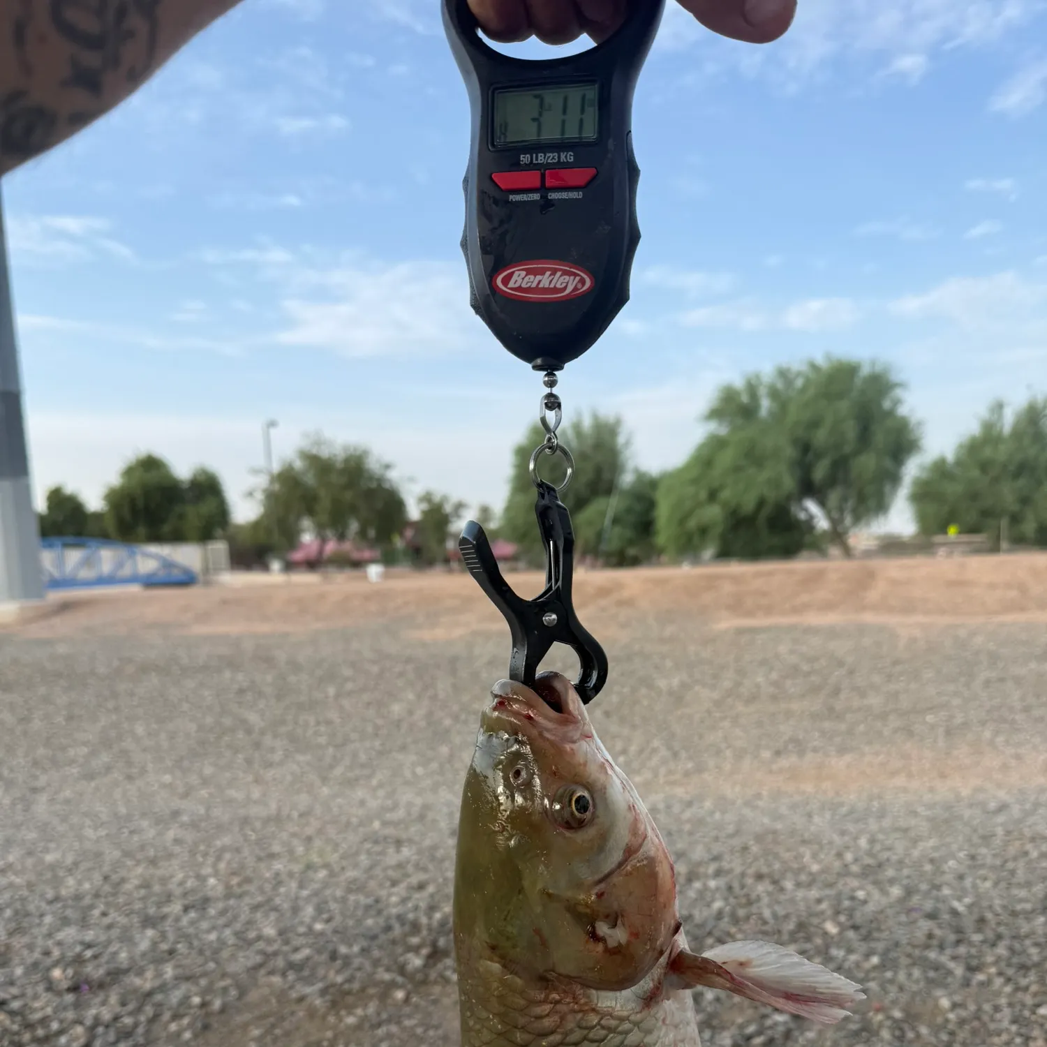 catch