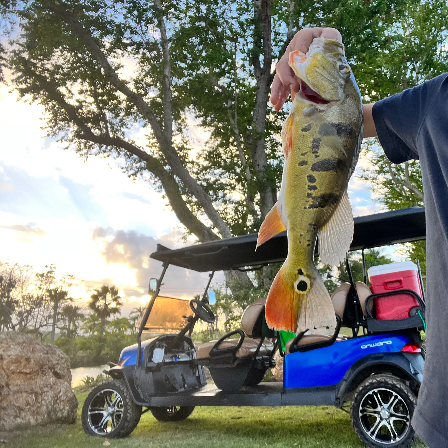 angler catch