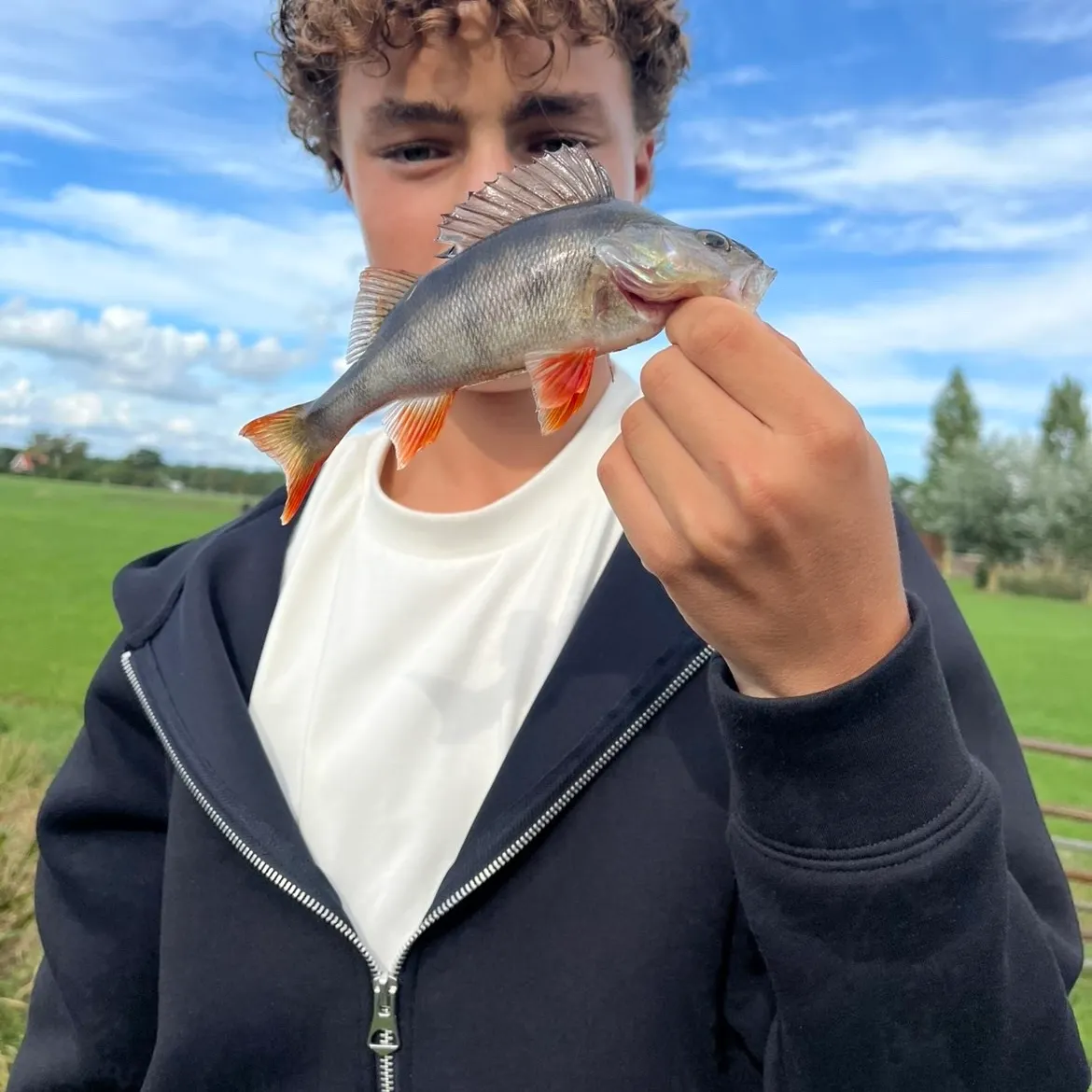 European perch caught on Fishbrain