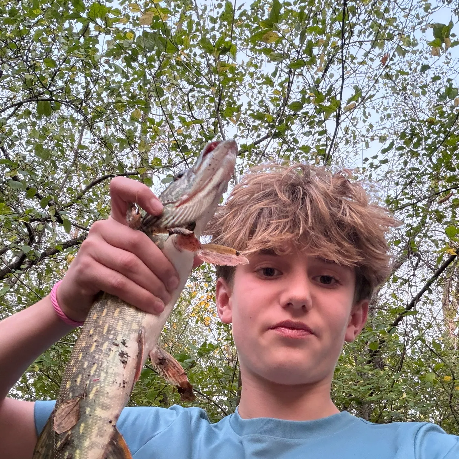 Northern pike caught on Fishbrain