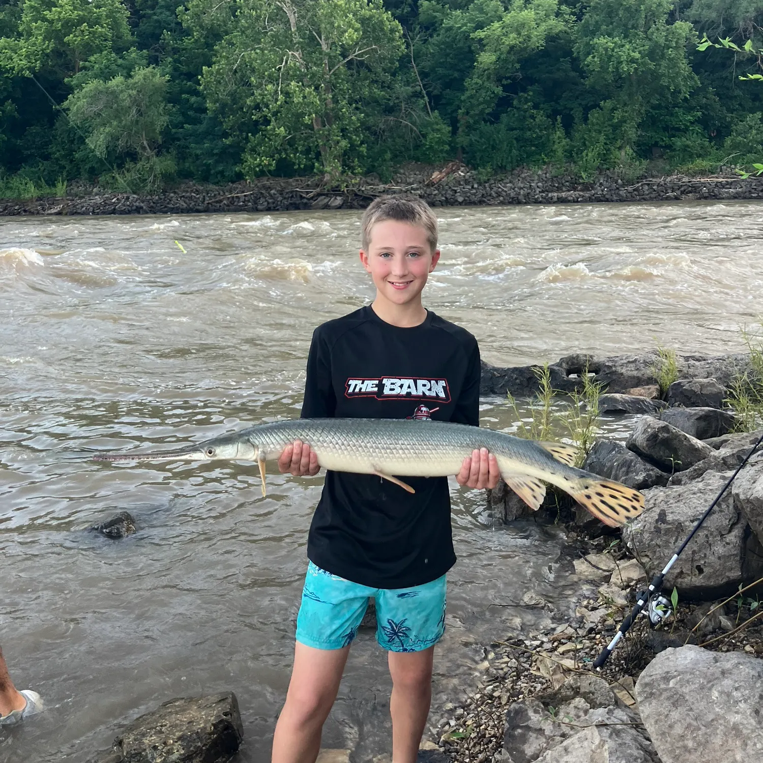 The most recent Longnose gar catches on Fishbrain