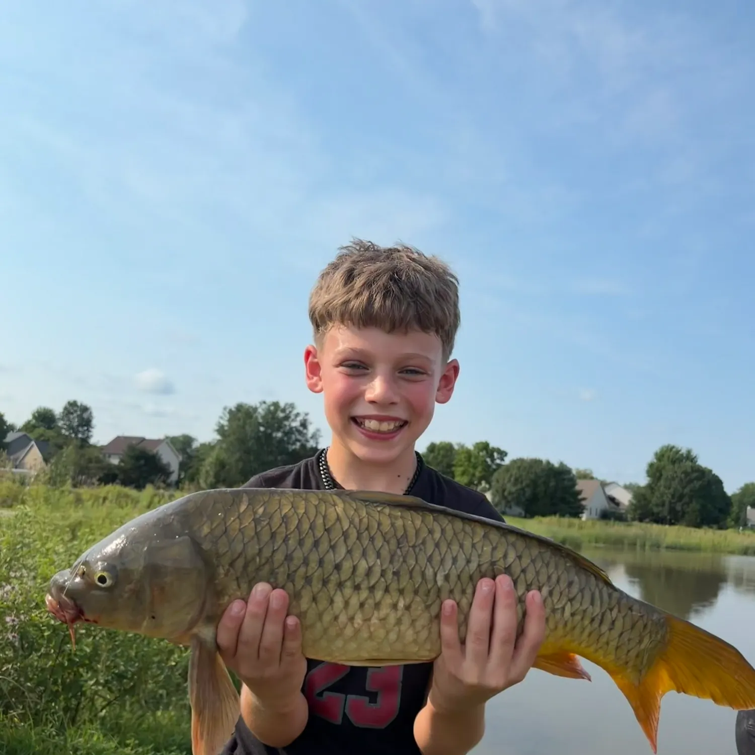 Common carp caught on Fishbrain