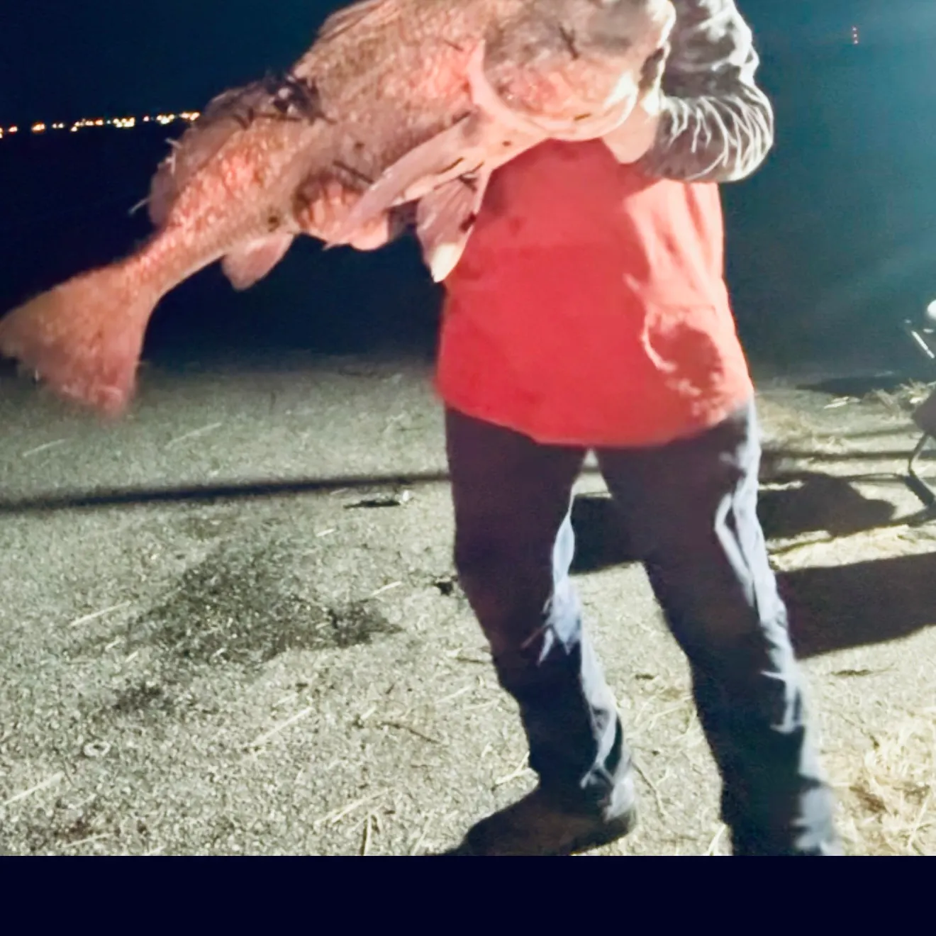 Black drum caught on Fishbrain