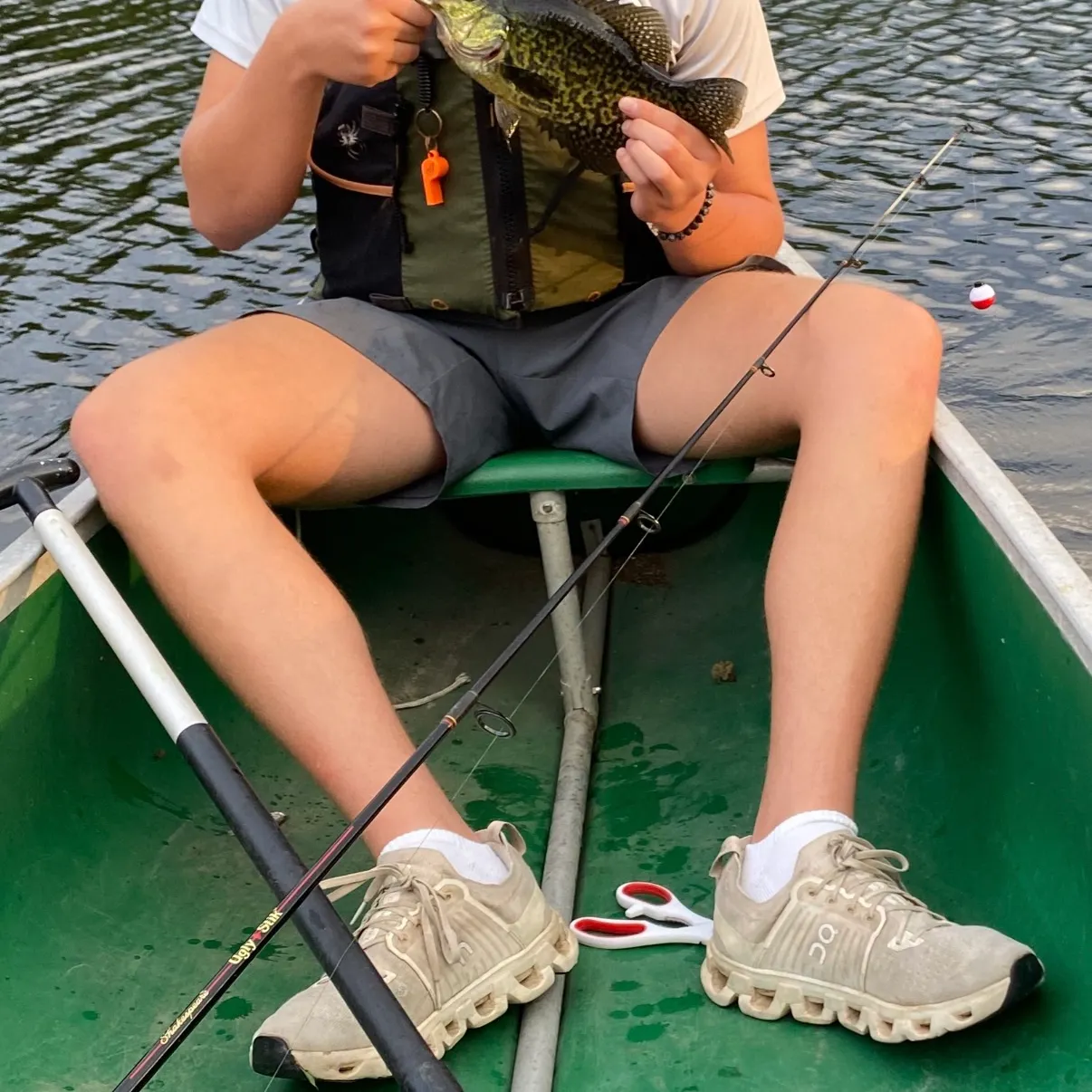 Black crappie caught on Fishbrain