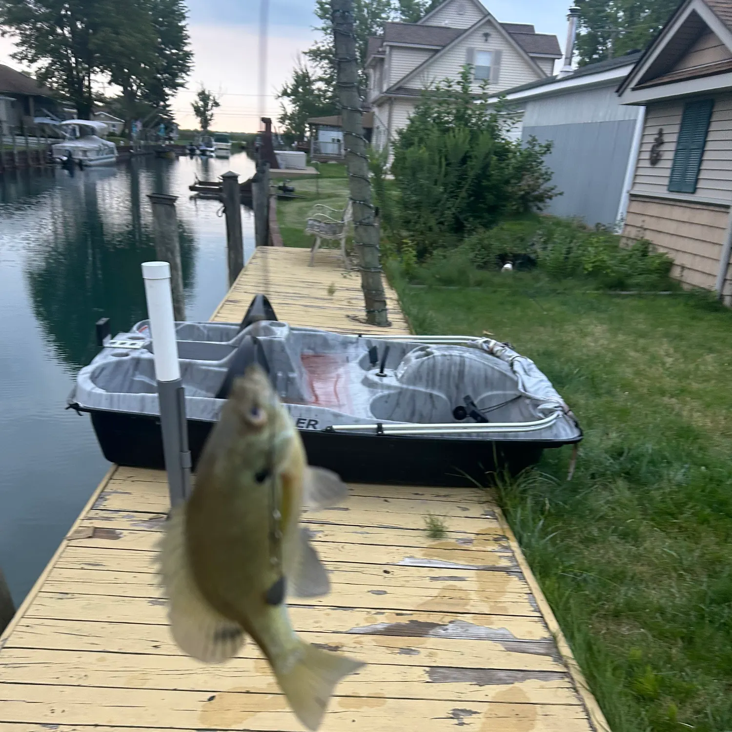 catch