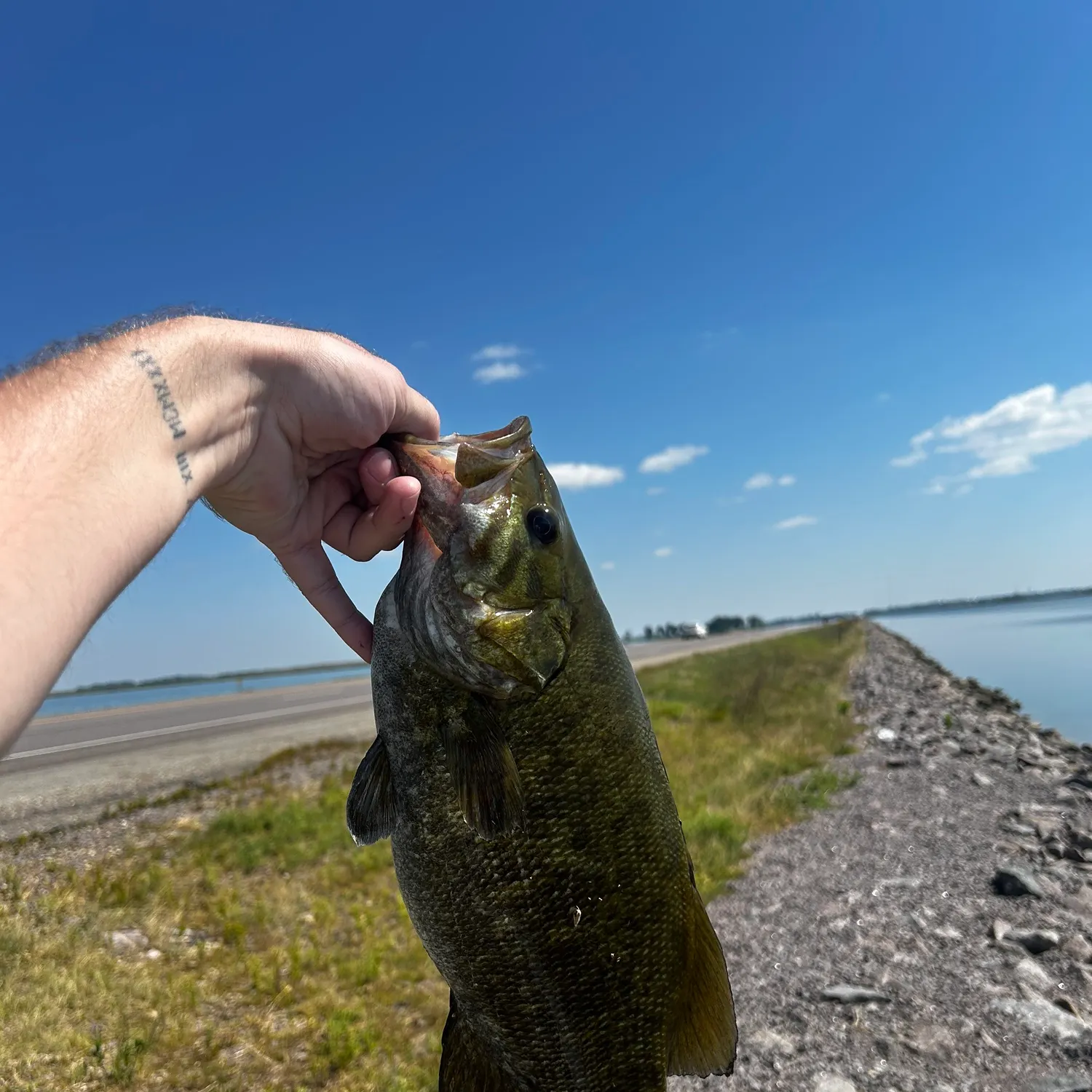Smallmouth bass caught on Fishbrain