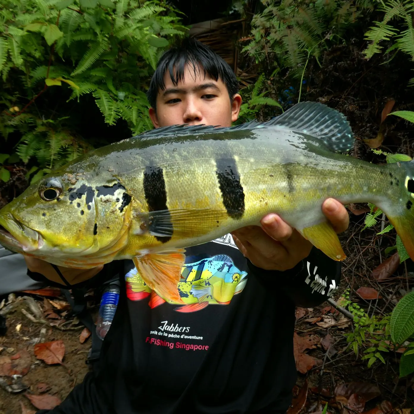 Speckled peacock bass caught on Fishbrain