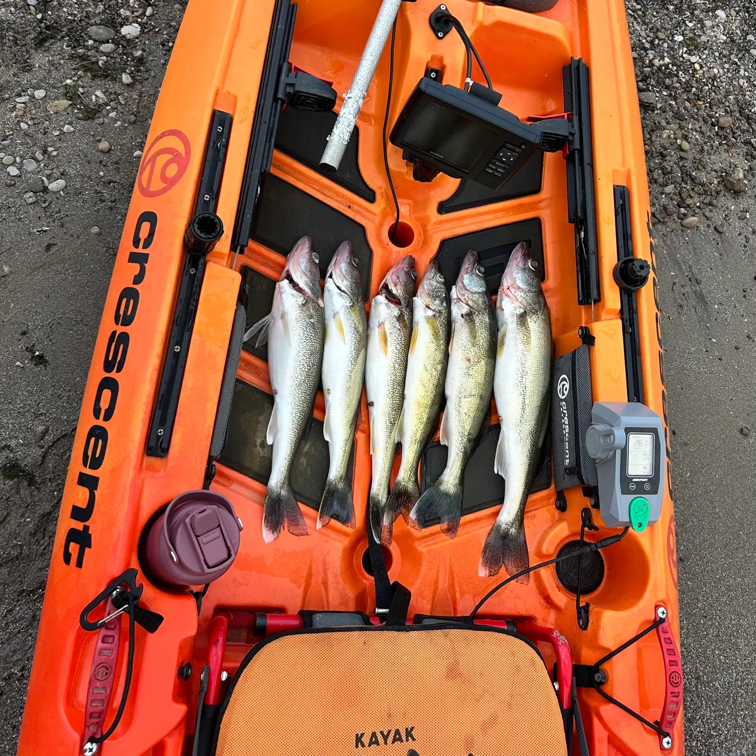 recently logged catches