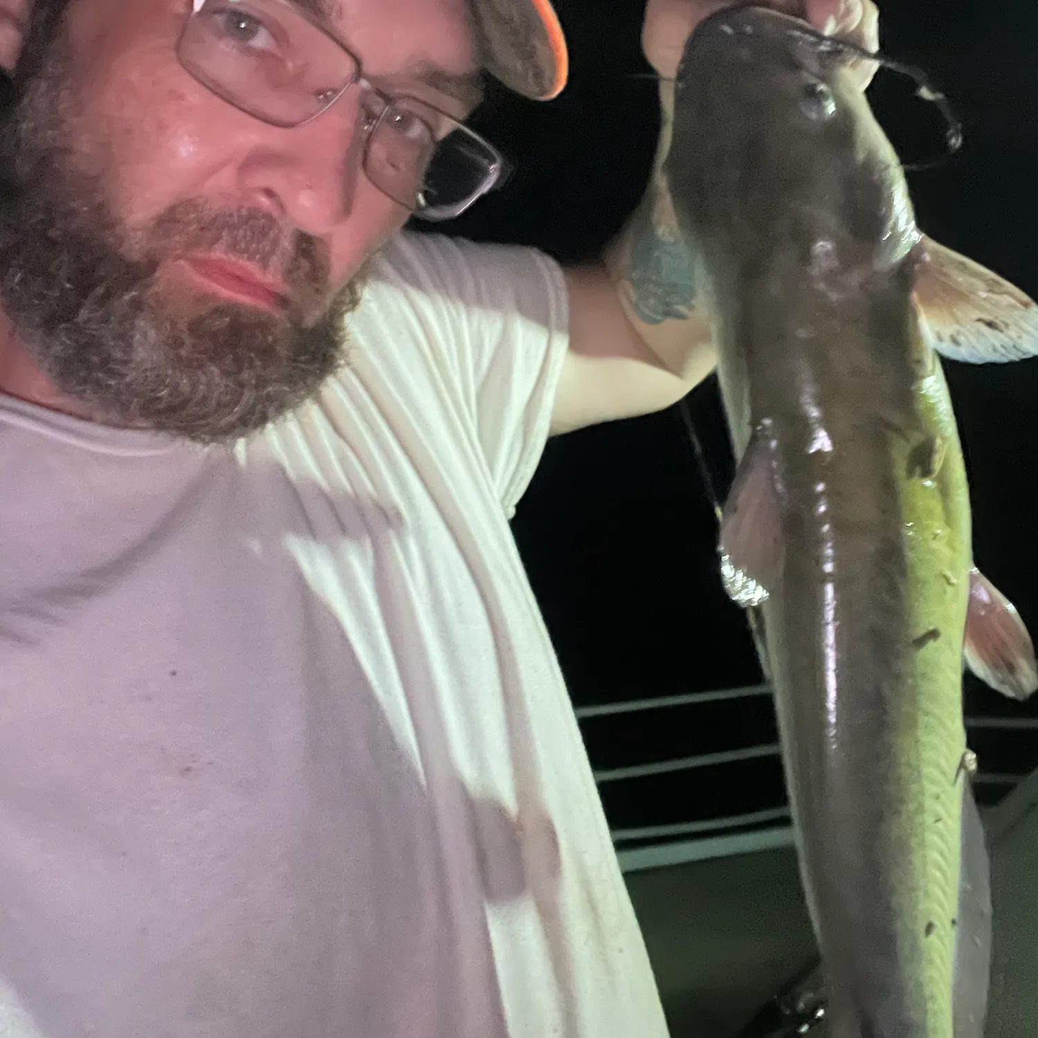 Channel catfish caught on Fishbrain