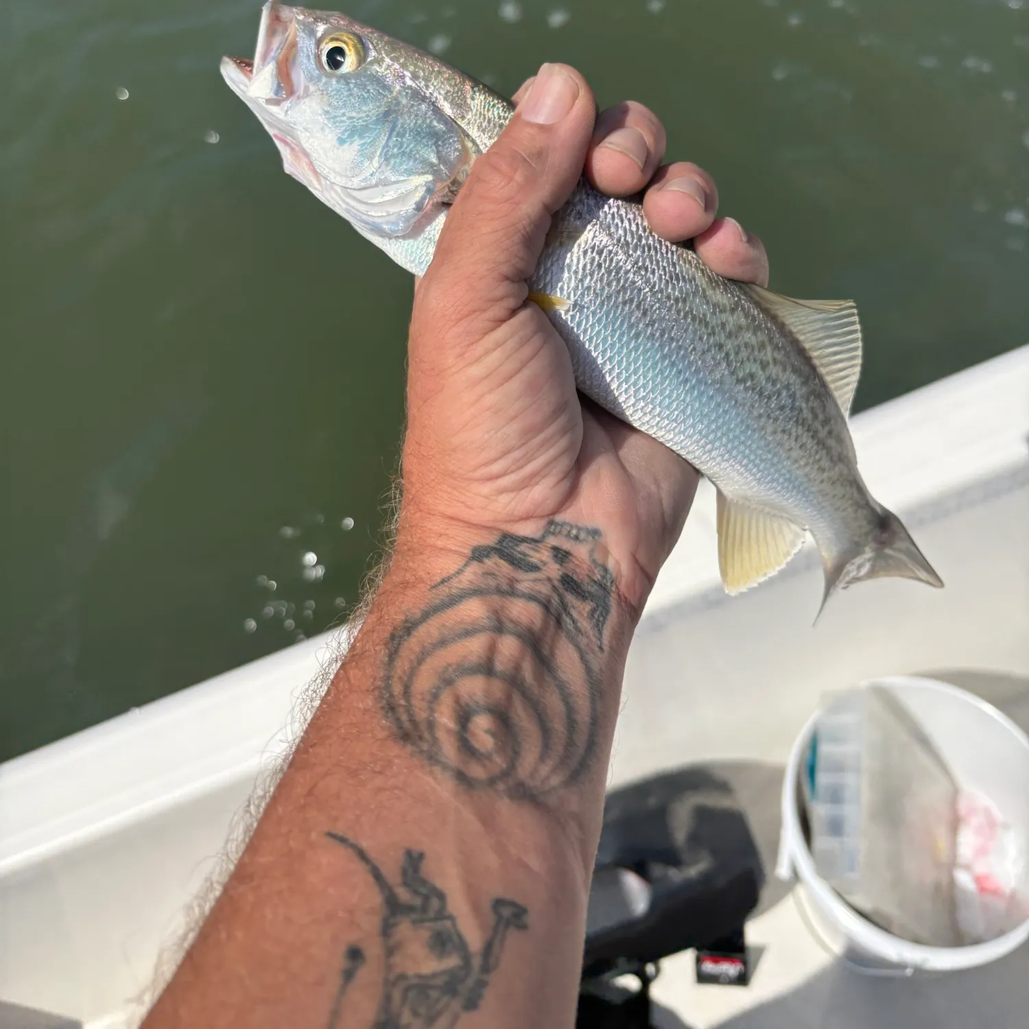 Spotted seatrout caught on Fishbrain