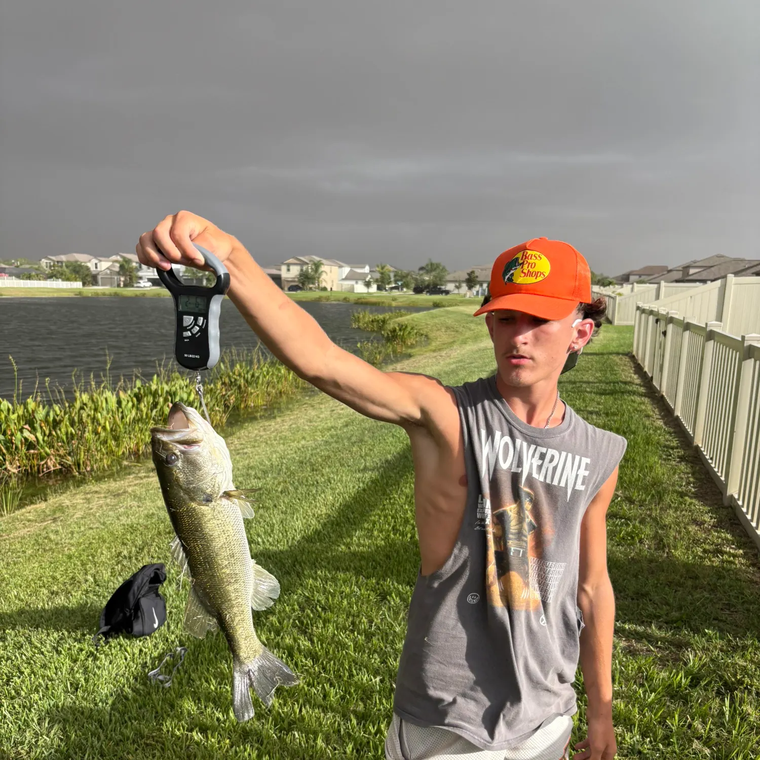 most liked catch image