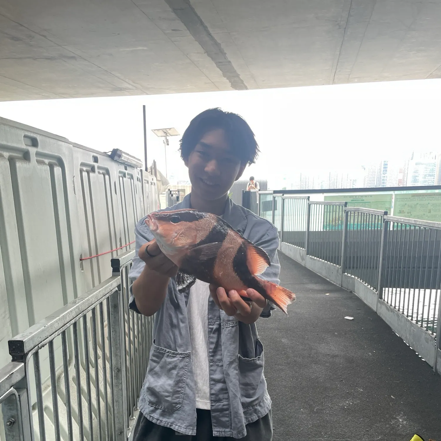 The most recent Emperor red snapper catches on Fishbrain