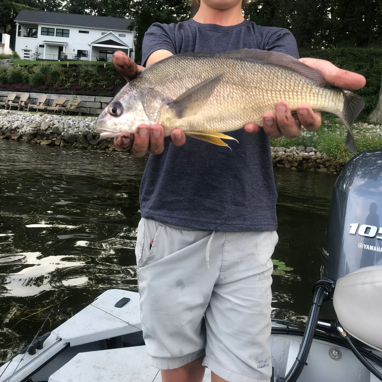 Freshwater drum caught on Fishbrain