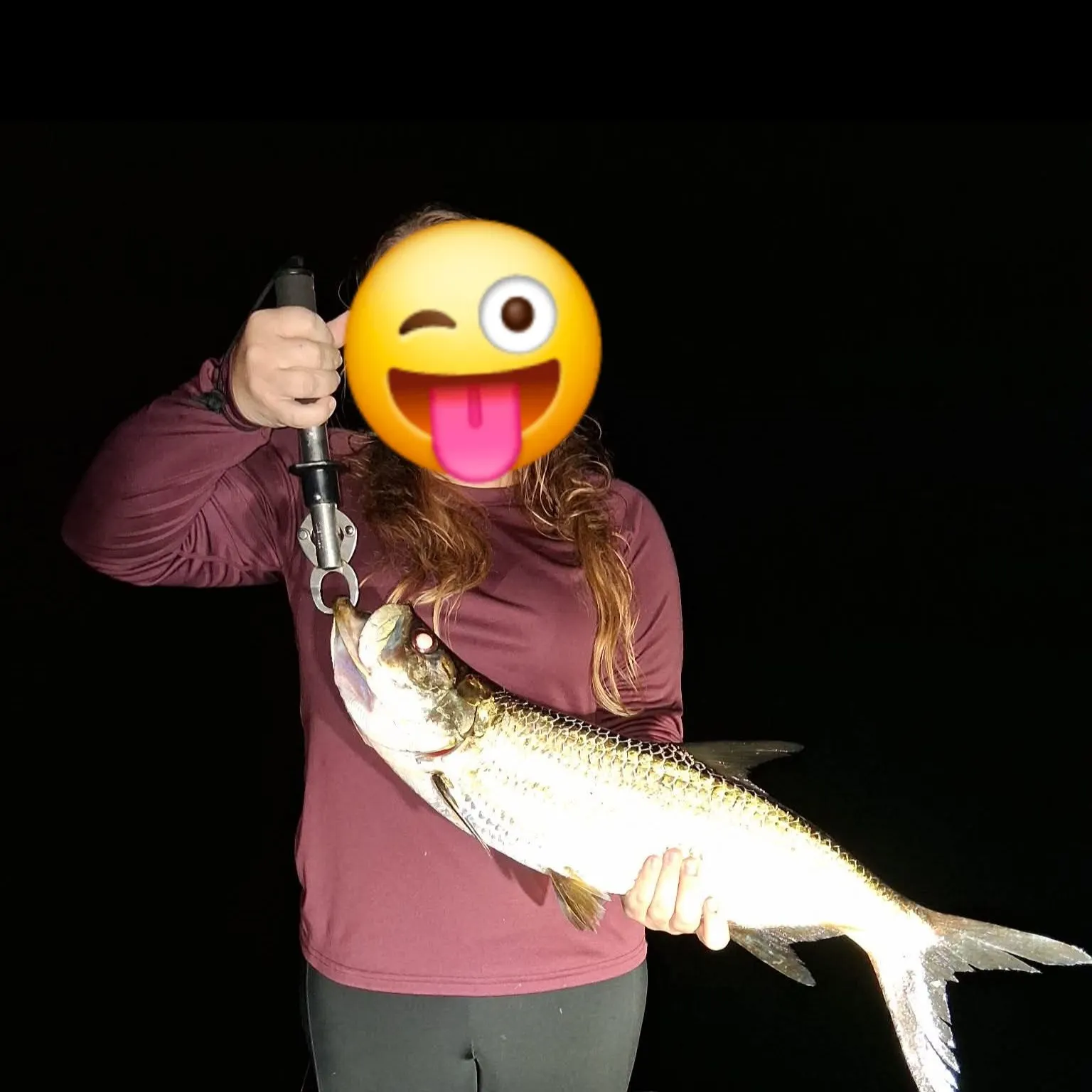 The most recent Tarpon catches on Fishbrain