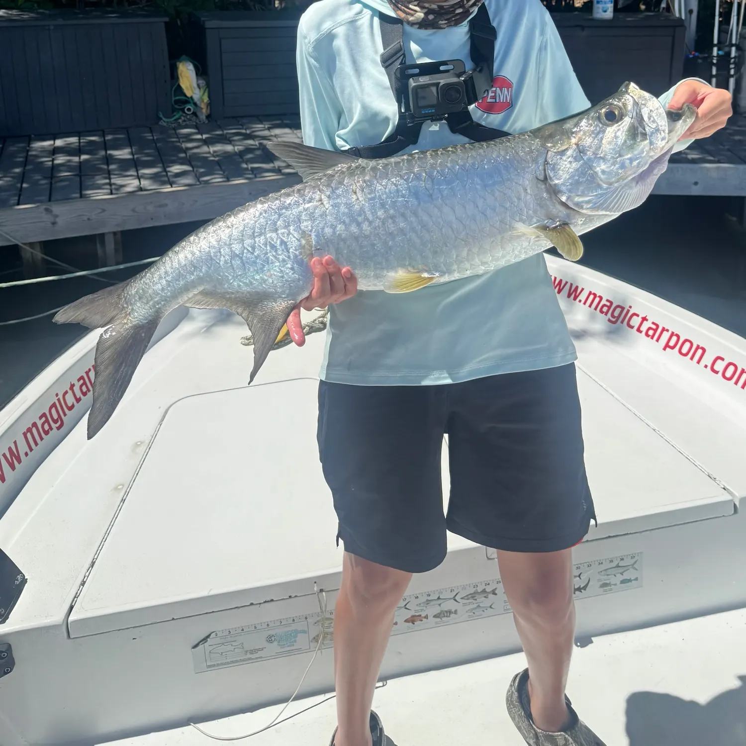 The most recent Tarpon catches on Fishbrain