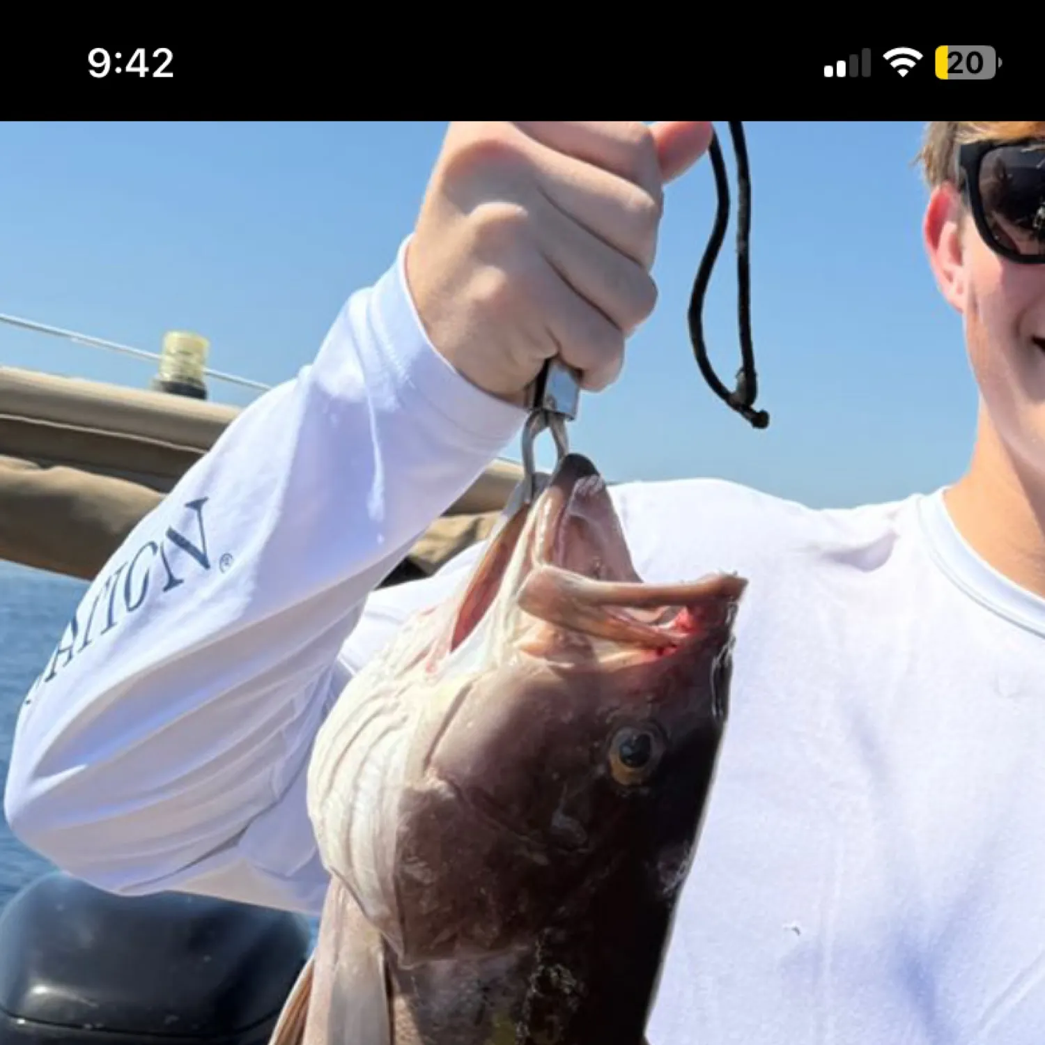 recently logged catches