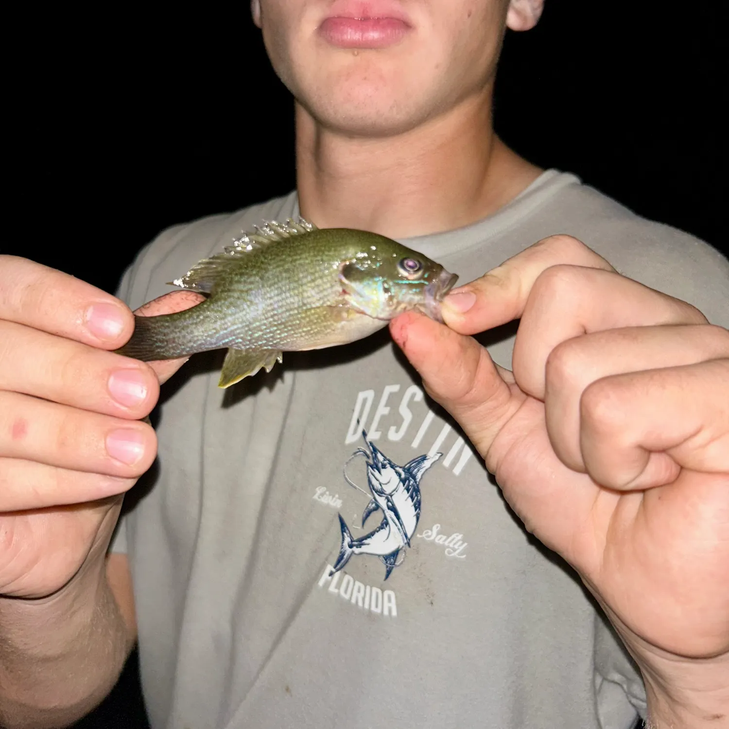 Green sunfish caught on Fishbrain