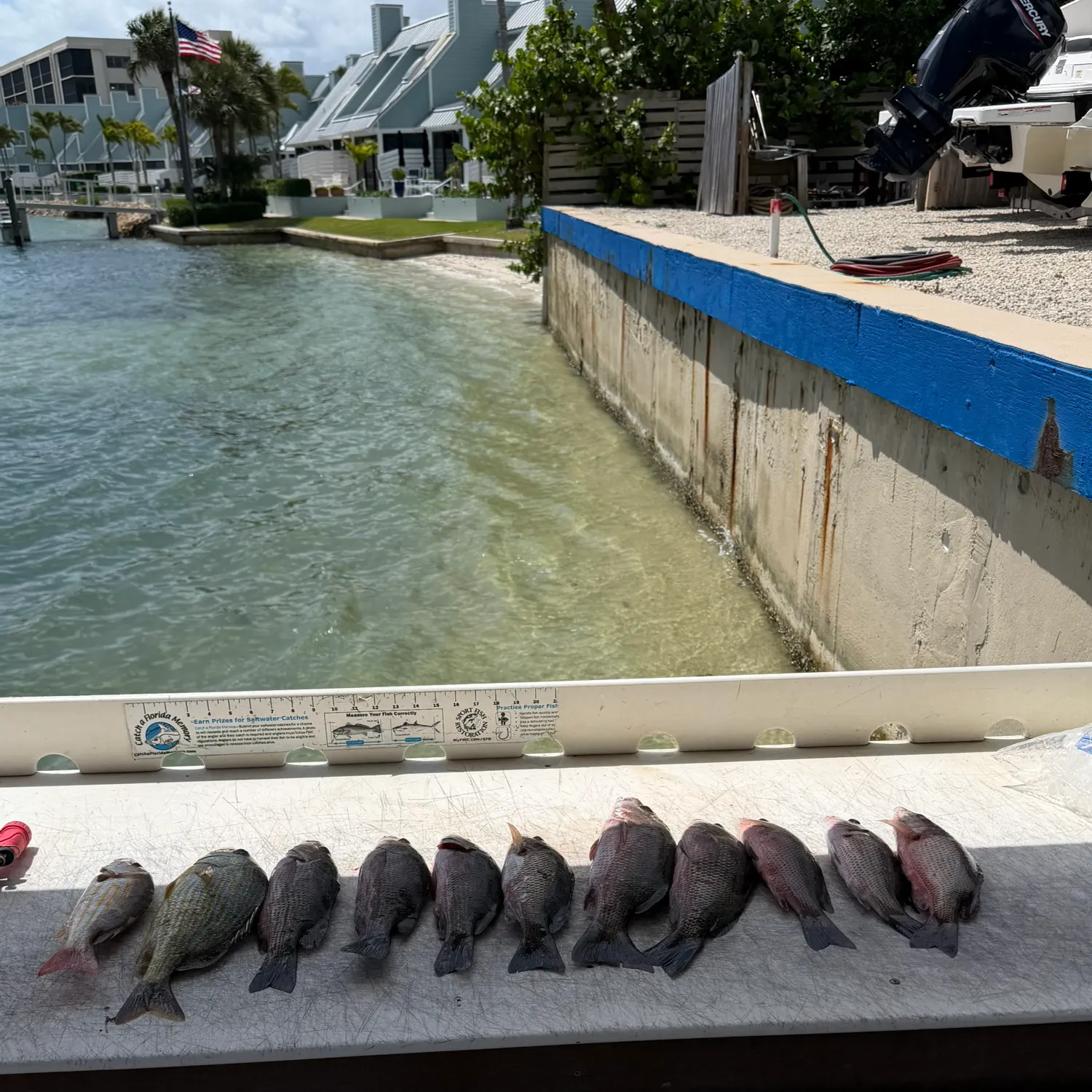 recently logged catches