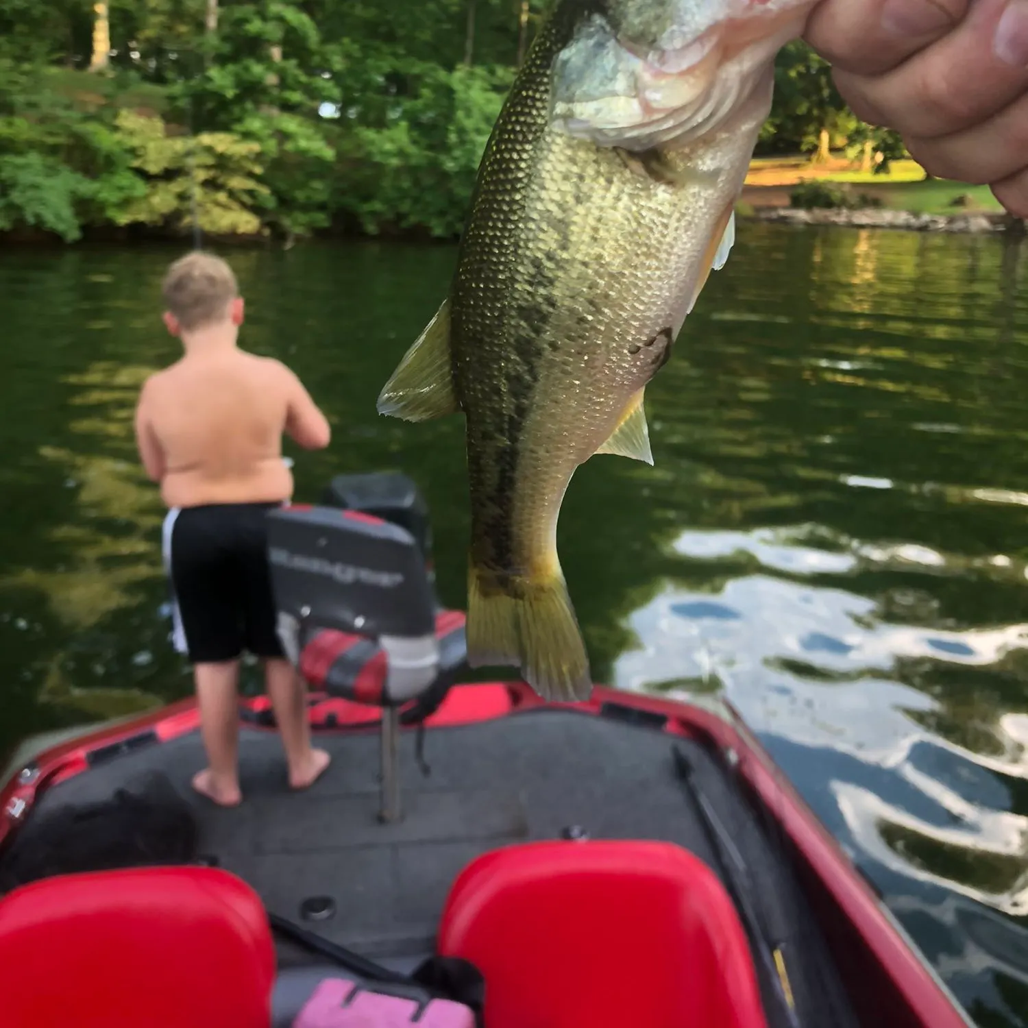 angler catch