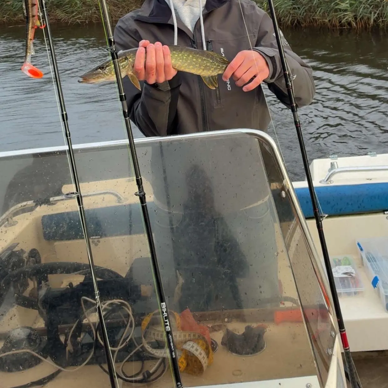 Northern pike caught on Fishbrain