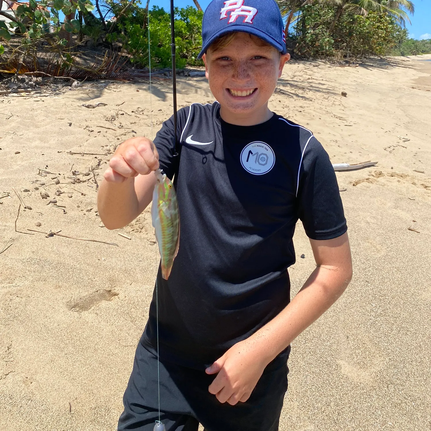 The most recent Fivestripe wrasse catches on Fishbrain