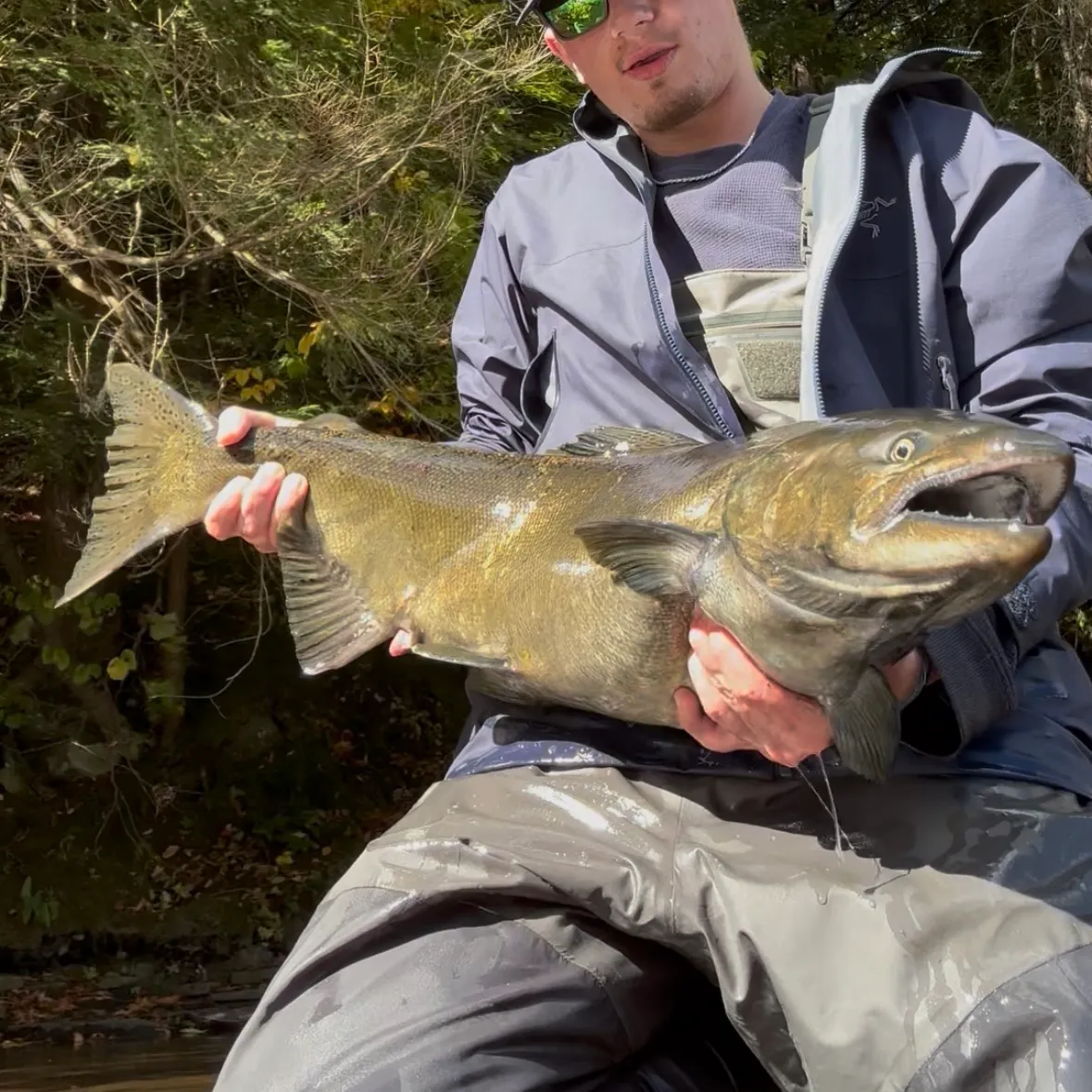 Chinook salmon caught on Fishbrain