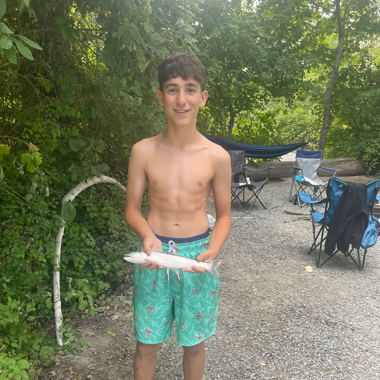 The most recent Dolly varden catches on Fishbrain