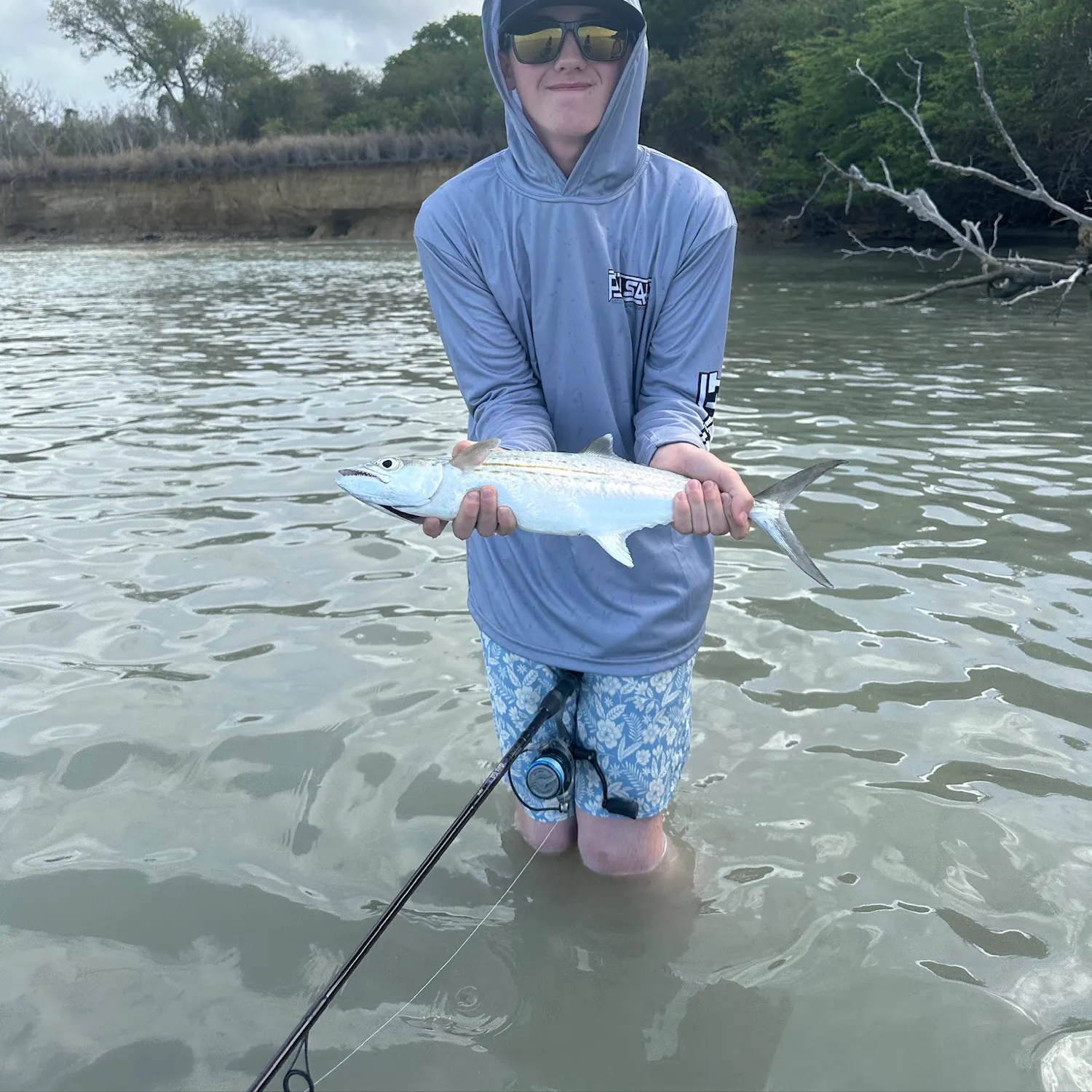 The most recent King mackerel catches on Fishbrain