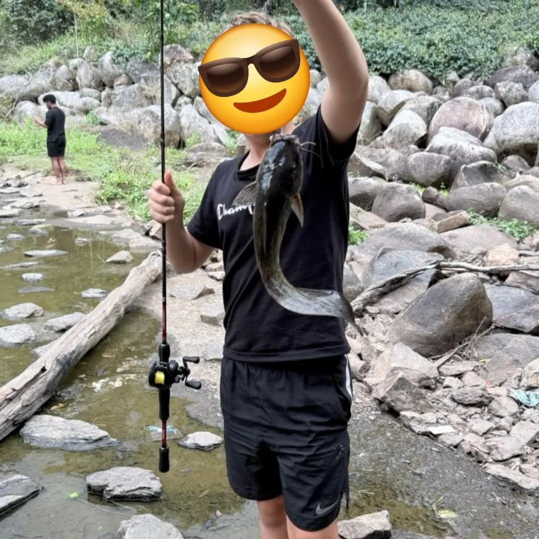 The most recent Dewfish catches on Fishbrain